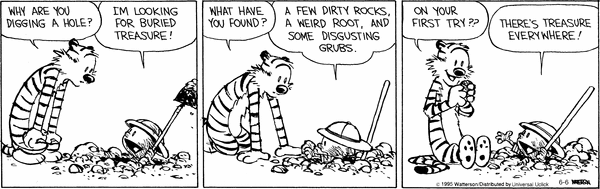 calvinandhobbes